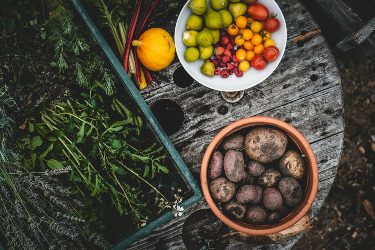 Overhead view of fresh garden produce — potatoes, tomatoes, fruits, and herbs on a rustic wooden table
