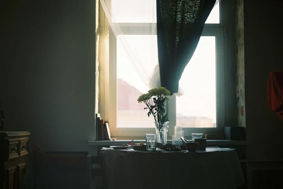 A quiet morning table with flowers in a vase, bathed in soft window light